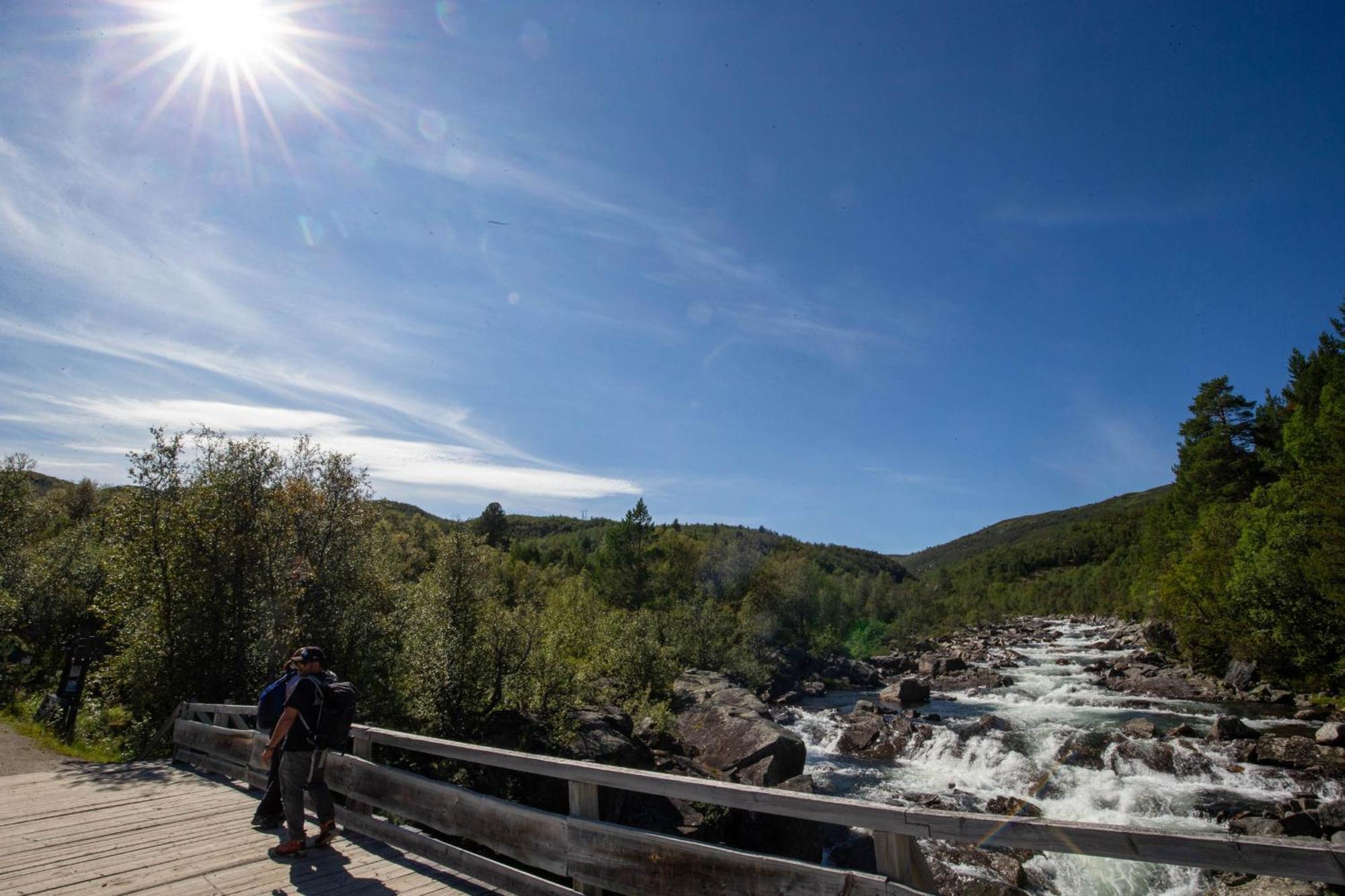 Spacious And Beautiful Apartment In Geilo, Mountain Retreat With View! Eksteriør billede