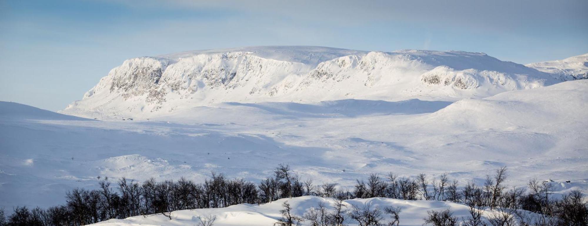 Spacious And Beautiful Apartment In Geilo, Mountain Retreat With View! Eksteriør billede